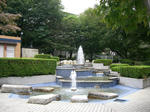 CIMG1192.jpg