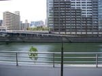 CIMG0441.JPG
