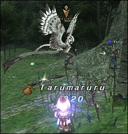 ff120111-8.jpg