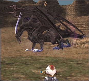 ff120125-3.jpg