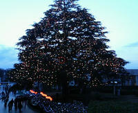 P1000007.JPG