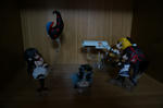DSC00765.JPG