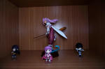 DSC00796.jpg