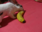 koharu72.JPG