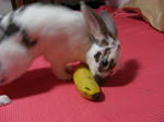 koharu73.JPG