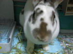 koharu79.jpg