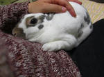 koharu86.JPG