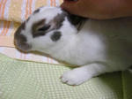 koharu90.jpg