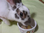 koharu093.JPG