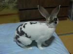 koharu120.JPG