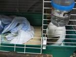 koharu134.jpg