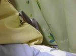koharu158.jpg