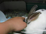 koharu166.jpg