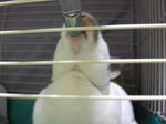 koharu169.jpg