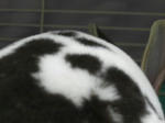 koharu171.jpg