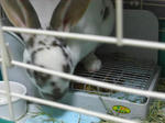 koharu175.jpg