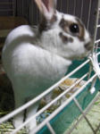 koharu176.jpg