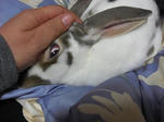 koharu180.jpg