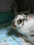 koharu198.jpg