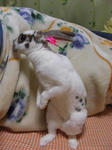 koharu219.jpg