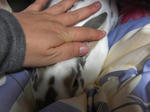 koharu224.jpg