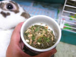 koharu397.jpg