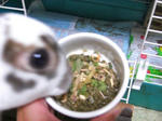 koharu398.jpg