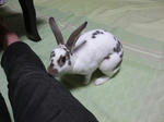koharu407.jpg