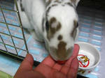 koharu443.jpg
