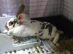 koharu462.jpg