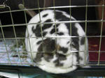koharu471.jpg