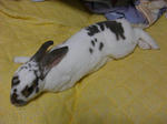 koharu484.jpg