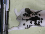 koharu527.jpg