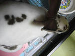 koharu556.jpg