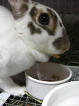 koharu563.jpg