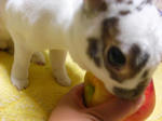 koharu574.jpg