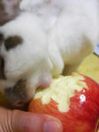 koharu580.jpg