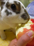 koharu581.jpg