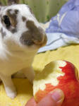 koharu582.jpg