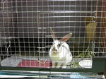 koharu583.jpg