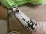 koharu643.jpg