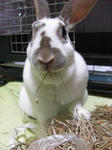koharu649.jpg