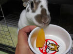 koharu674.jpg