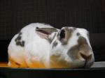 koharu709.jpg
