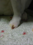 koharu717.jpg