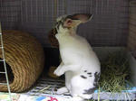 koharu769.jpg