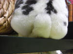 koharu797.jpg
