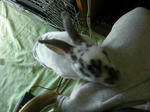 koharu822.jpg