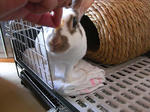 koharu841.jpg
