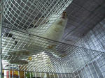 koharu986.jpg